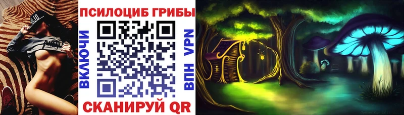 купить закладку  Краснокаменск  Галлюциногенные грибы MAGIC MUSHROOMS 